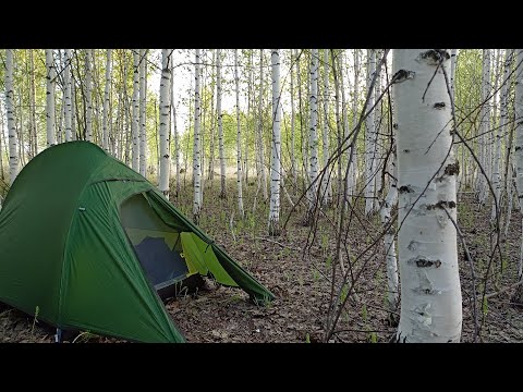 Видео: Велопоход по трём областям Сибири  День 4  Часть 2
