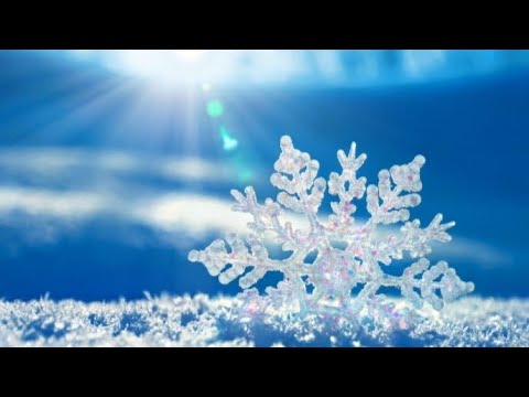 Видео: 🌨 Мой ПАРФгардероб на декабрь ❄     #коллекцияароматов #парфюмерия  #женскаяпарфюмерия