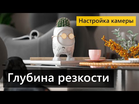 Видео: Размытие заднего фона. Глубина резкости. Настройка камеры. Depth of Field (DOF).  Close-up