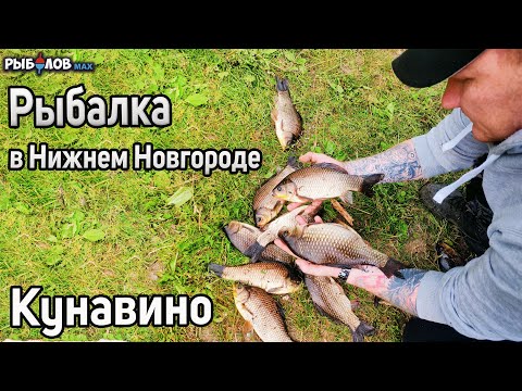 Видео: Летняя рыбалка в Нижнем Новгороде 2022. Борский район. Ловля карася в деревне Кунавино