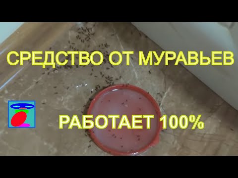 Видео: Средство от муравьев. Как избавиться от муравьев. Борьба с муравьями.