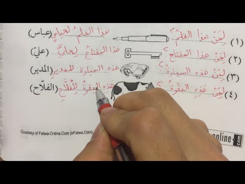 Видео: 8-сабак конугуулор