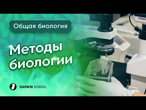 Видео: Тема 2: Методы биологии