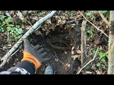 Видео: Совместный КоП с каналом Сергеевич в деле!!!