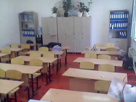 Видео: олимпиада