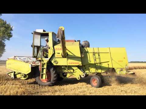 Видео: Claas Consul | Harvesting | Жнива | Уборка пшеницы комбайном
