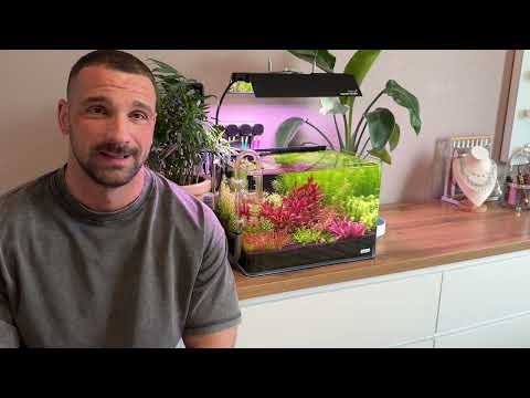 Видео: 03.10.2025. Dennerle 55l. Начало.