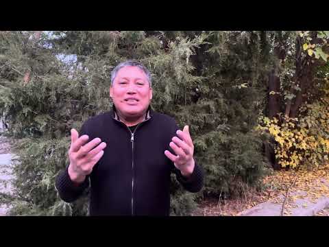 Видео: ҚҰДАЙ СЕНІ ӨЗ ҚҰШАҒЫНА АЛАДЫ 🙏 02.11.25 ж 