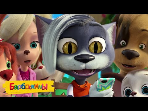 Видео: Барбоскины | В мире животных 🐴🐶🐱 Сборник мультиков для детей