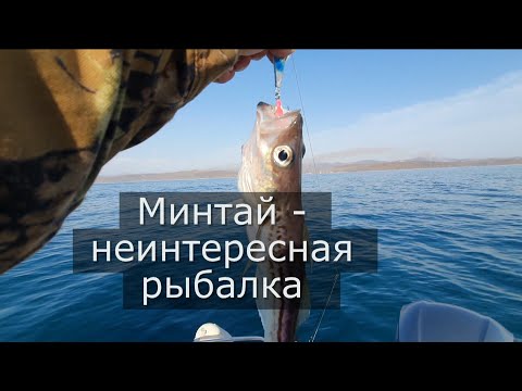 Видео: Минтай-неинтересная рыбалка