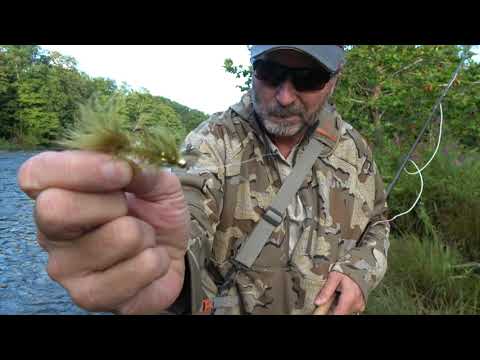 Видео: Ловля лосося по низкой воде