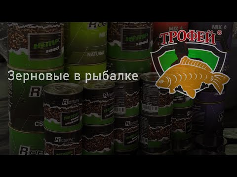 Видео: Рыбалка и зерновые.  Интервью с производителем "Робин"