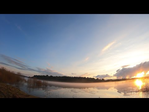 Видео: Кама для квадроцикла.Резина прошла проверку.