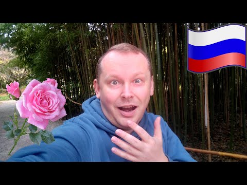 Видео: #4.Розы в декабре! 🌹 Показываю, чем удивил парк-дендрарий "Южные культуры" в Адлере (Сочи)