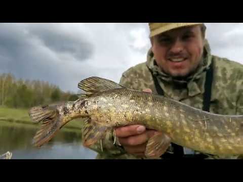 Видео: От такой рыбалки не бывает скучно!