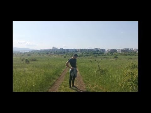 Видео: Към корените