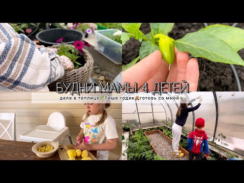 Видео: Будни мамы 4 детей🧸ГОТОВЛЮ ОБЕД🥘 ПЕРЕСАЖИВАЮ ЦВЕТЫ🌸ДЕЛА В ТЕПЛИЦЕ,🌱ТИШЕ 1 годик🥰