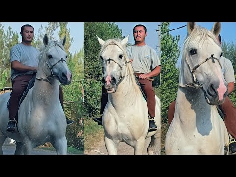 Видео: ОТ СОТИЛАДИ....
