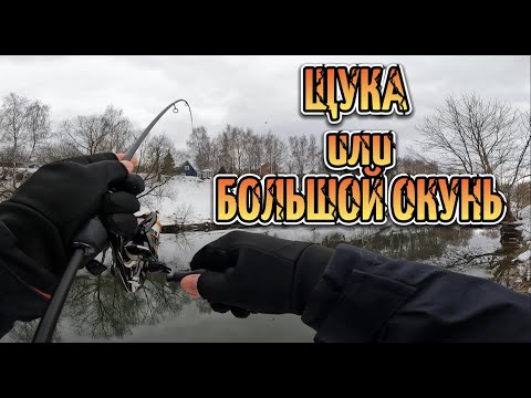Видео: РЫБАЛКА на СПИННИНГ в конце ЗИМЫ/ABU GARCIA REALFINESSE ERFS-51 PRO-FS 1.55m 0.1-2gr