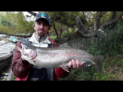 Видео: Рыбалка нахлыстом на Камчатке