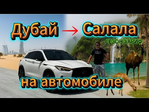 Видео: Из Дубай в Оман на машине