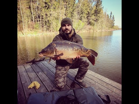 Видео: Львовские Озера. Открытие карпового сезона 2019.
