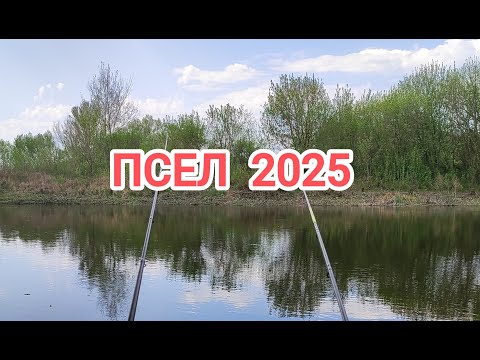 Видео: Відкриття сезону 2025 Рибалка р Псел Сухорабівка