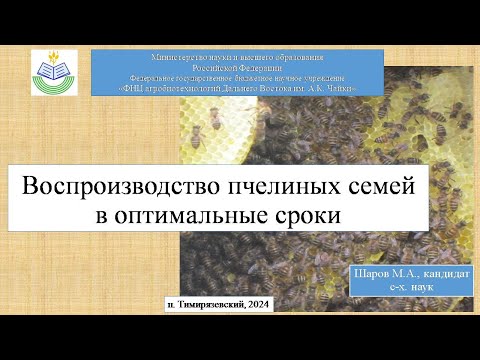 Видео: Воспроизводство пчелиных семей в оптимальные сроки в Приморском крае. Шаров М.А.