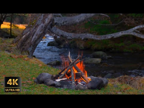 Видео: Уютный костер у реки в 4K UltraHD | 3 часа нежных звуков потрескивающего костра