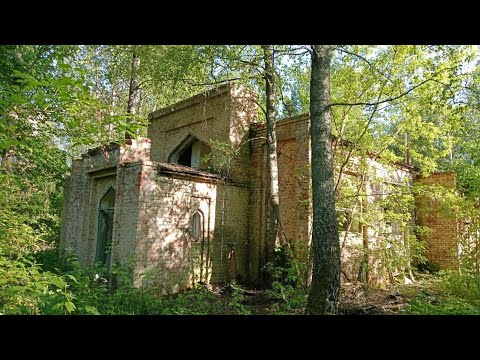 Видео: Тишина в пустых корпусах.Огромный кинозал. Пионерский лагерь Спутник им. Волынова