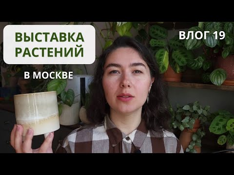 Видео: ОРХИДИУМ, цветочный магазин КРАПИВА и несколько НОВИНОК из Москвы