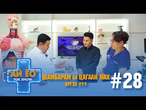 Видео: ШАМБАРАМ БА ЦАГААН МАХ ИРГЭХ Ай ёо ток шоу