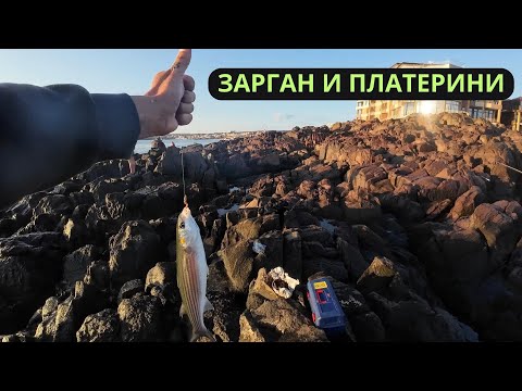 Видео: ЗАРГАН И ПЛАТЕРИНИ
