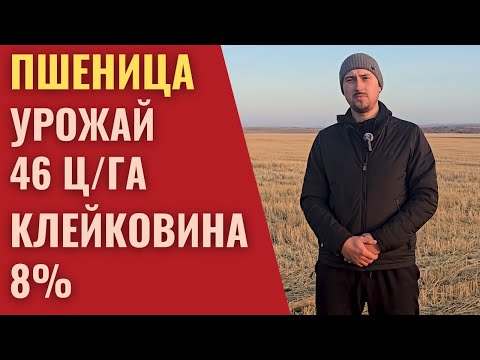 Видео: КАЗАХСТАН. Уборка завершена!  Начинается самое важное - планирование на следующий год