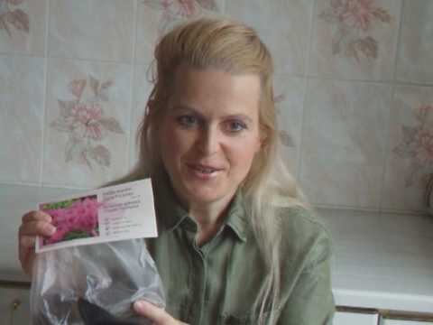 Видео: Выбираем цветы для лёгкого сада и сохраняем их до посадки