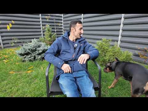 Видео: Продолжение истории