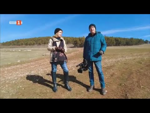 Видео: Фермерският живот в Източните Родопи, Троянския Балкан и Тракия - "Бразди", 15.02.2025