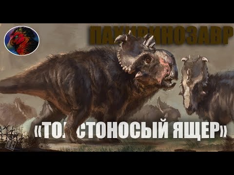 Видео: ПАХИРИНОЗАВР  - «ТОЛСТОНОСЫЙ ЯЩЕР»  ||| ДИНО-ВИКИ №15