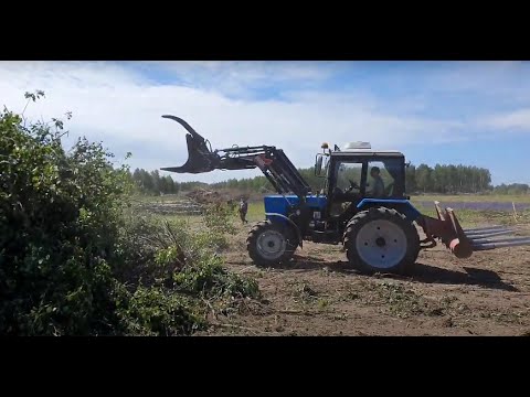 Видео: Ввод залежных, заросших лесом полей в севооборот.
