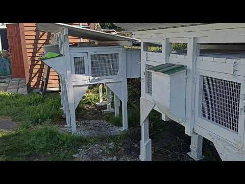 Видео: Перевірка новонароджених кроленят. Коли треба перевіряти маточники (гнізда) після окролу? Кролики!