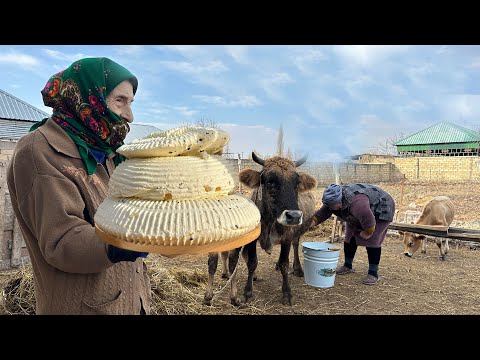 Видео: Бабушкин микс из деревенского свежего сыра и вкусных рецептов обеда