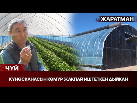 Видео: Күнөсканасын көмүр жакпай иштеткен дыйкан // ЖАРАТМАН берүүсү