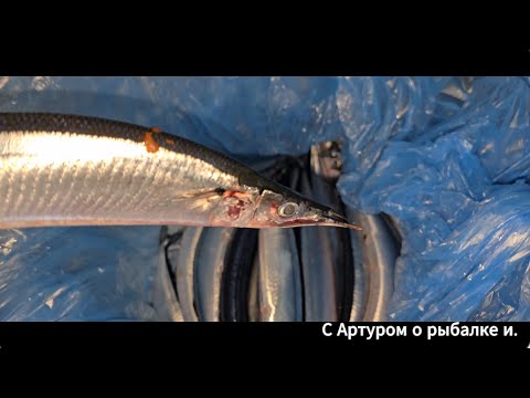 Видео: Хорошо что был лифчик. Вот это РЫБАЛКА.