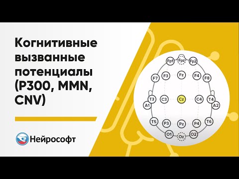 Видео: Когнитивные вызванные потенциалы (P300, MMN, CNV)
