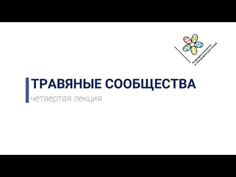 Видео: Травяные сообщества