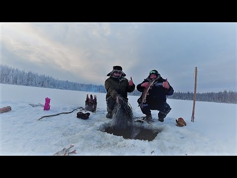 Видео: Рыбалка сетями в -18 на севере.Снимаем сети Проверяем жерлицы.