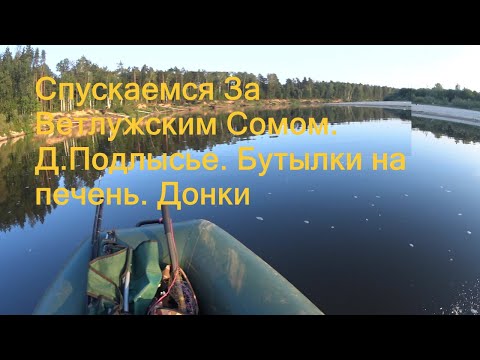 Видео: Охота на Сома.Расставили бутылки,донки.деревня Кладовка.река Ветлуга