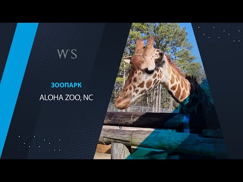 Видео: Зоопарк Aloha Zoo. Cameron, NC
