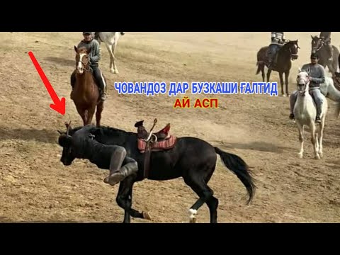 Видео: Давоми БУЗКАШИ н Ховалинг д Садбарго 02 01 2021 г. УЛОК Купкари