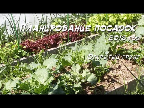 Видео: Смешанные посадки. Планирование грядок ОГ, 2016 год